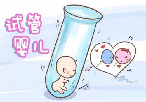 黑枸杞泡水的功效，取卵后可以喝