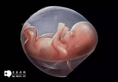 北京三代试管助孕：巧克力囊肿饮食一定要严格要求，多吃这些食物好处多