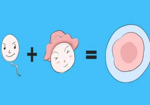 北京试管助孕公司：女性有多少个基础卵泡才算正常