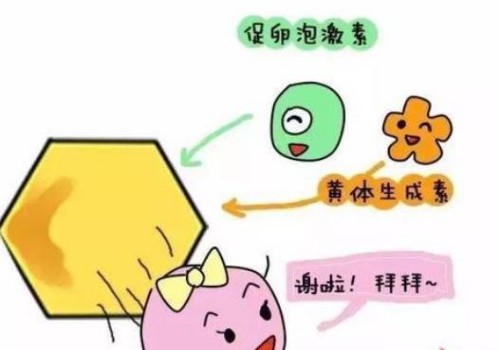 治疗闭经又快又灵的中药偏方快来一起看看