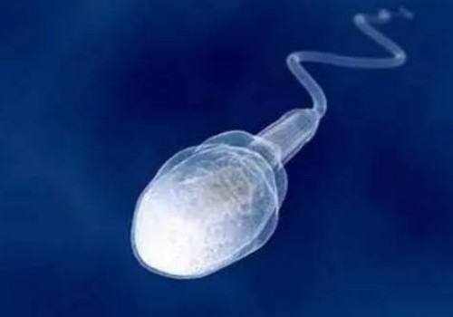 乳房在鲜胚移植的第二胎开始胀痛是什么信号？意味着着床吗？
