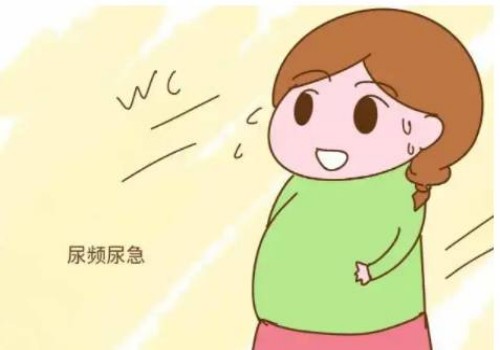 泌乳素含量过低对备孕的危害比预想中大多了，最好提前进行调养