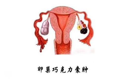 做好这些可以有效的帮助提高卵泡质量，早点开始早点提升