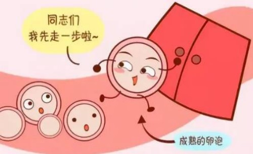 移植前做凝血四项的意义有哪些，需要注意什么