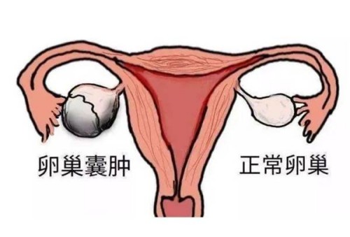 四维彩超能否不预约直接前往？不需要预约的情况详细介绍
