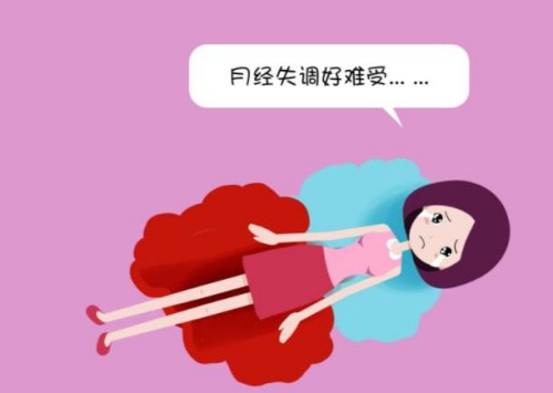 囊胚质量影响试管移植成功率，囊胚质量越好着床几率越大