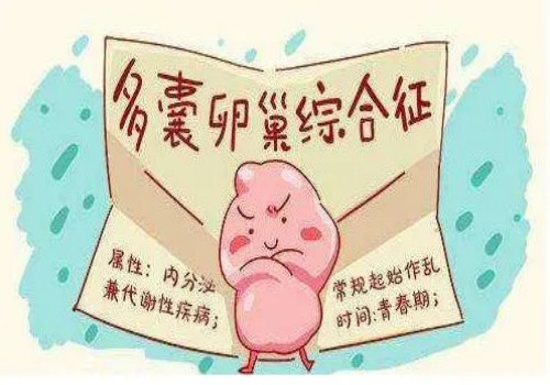 2023承德市附属医院试管婴儿攻略大全，附助孕支出费用明细参考
