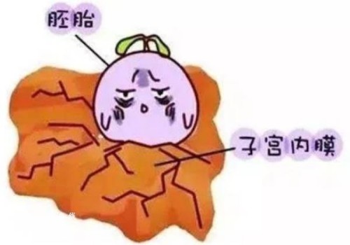 孕妇能不能吃榴莲？适当吃榴莲有这三个好处