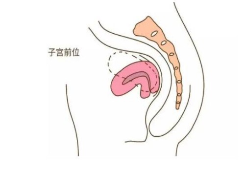孕期什么东西不可以吃？了解清楚提前防备