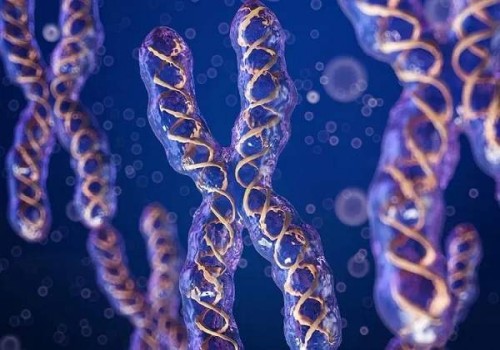 怎样通过孕囊的大小来计算怀孕的天数看完公式原来这么简单