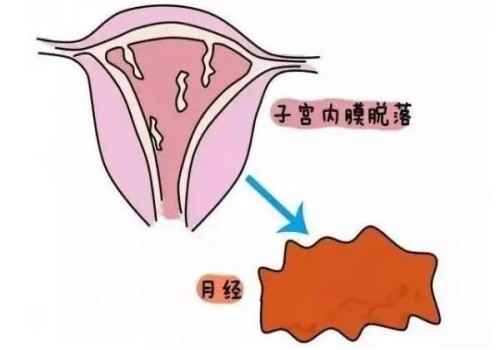 高龄女性做试管婴儿之前应该怎样调理自己的身体来“接好孕”呢？