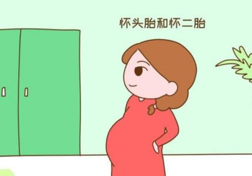 单角子宫做试管着床不容易，想成功这些事项一个都不能漏